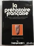 La Prhistoire franaise : les civilisations nolithiques et protohistoriques de la France