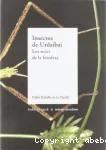 Insectos de Urdaibai